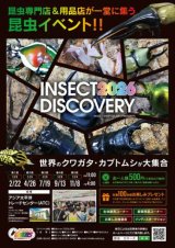 INSECT DISCOVERY 2026日程決定!!
