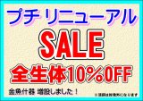 「プチ リニューアルSALE」3/1（日）～3/8（日）