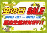 ✨昆虫生体20％OFF!!　『虫の日SALE』のご案内です✨