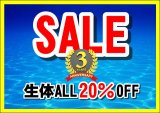 🎊3周年記念 『生体20％OFF!! SALE』のお知らせ🎊
