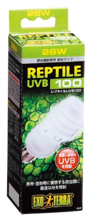 飼育用品 - ペットショップCOLORS