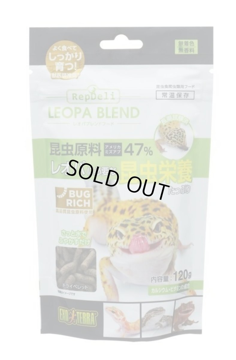 画像1: レオパブレンドフード　レオパに必要な昆虫栄養たっぷり 120ｇ (1)