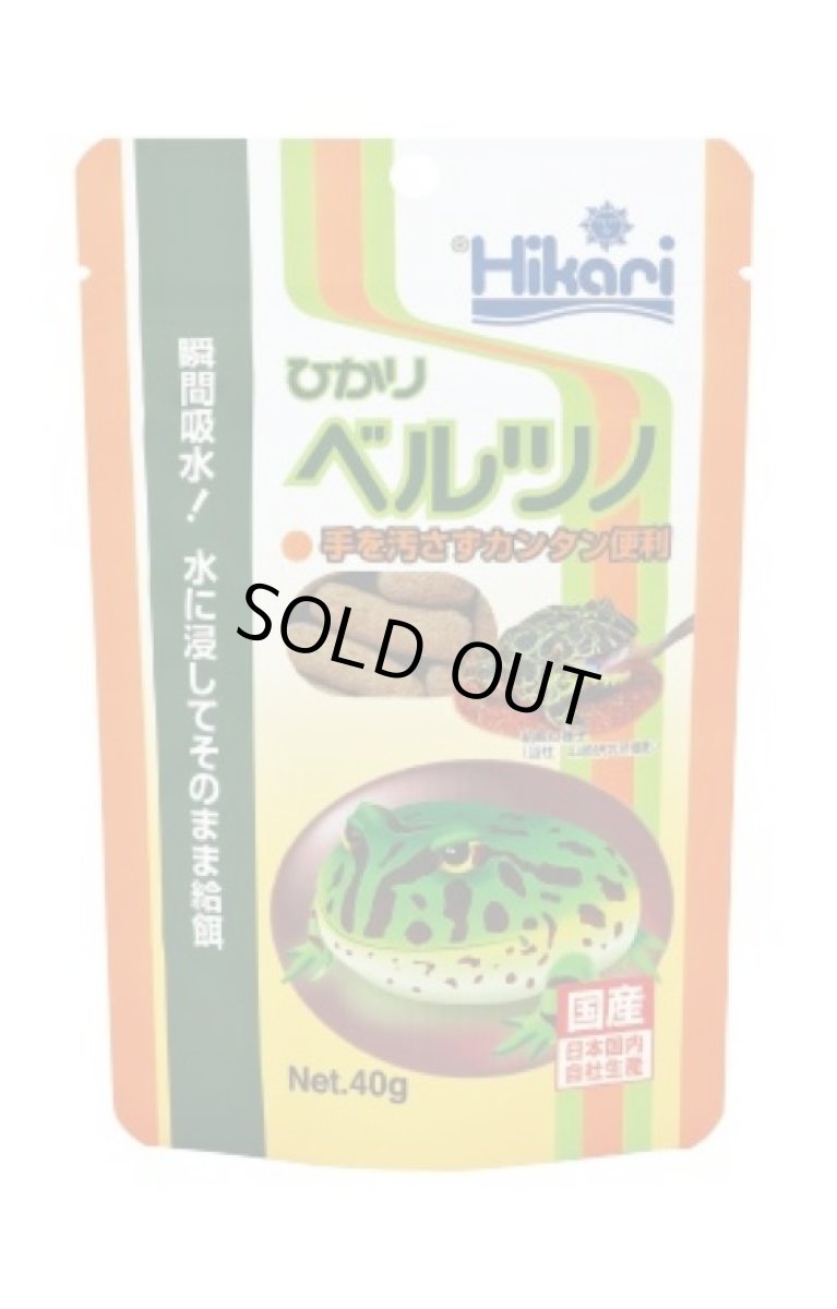 画像1: ひかりベルツノ　40ｇ (1)