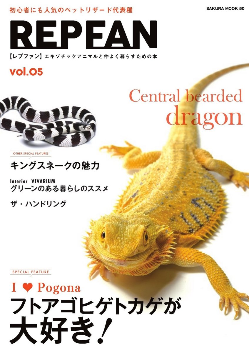 画像1: REPFAN　Vol.05 (1)