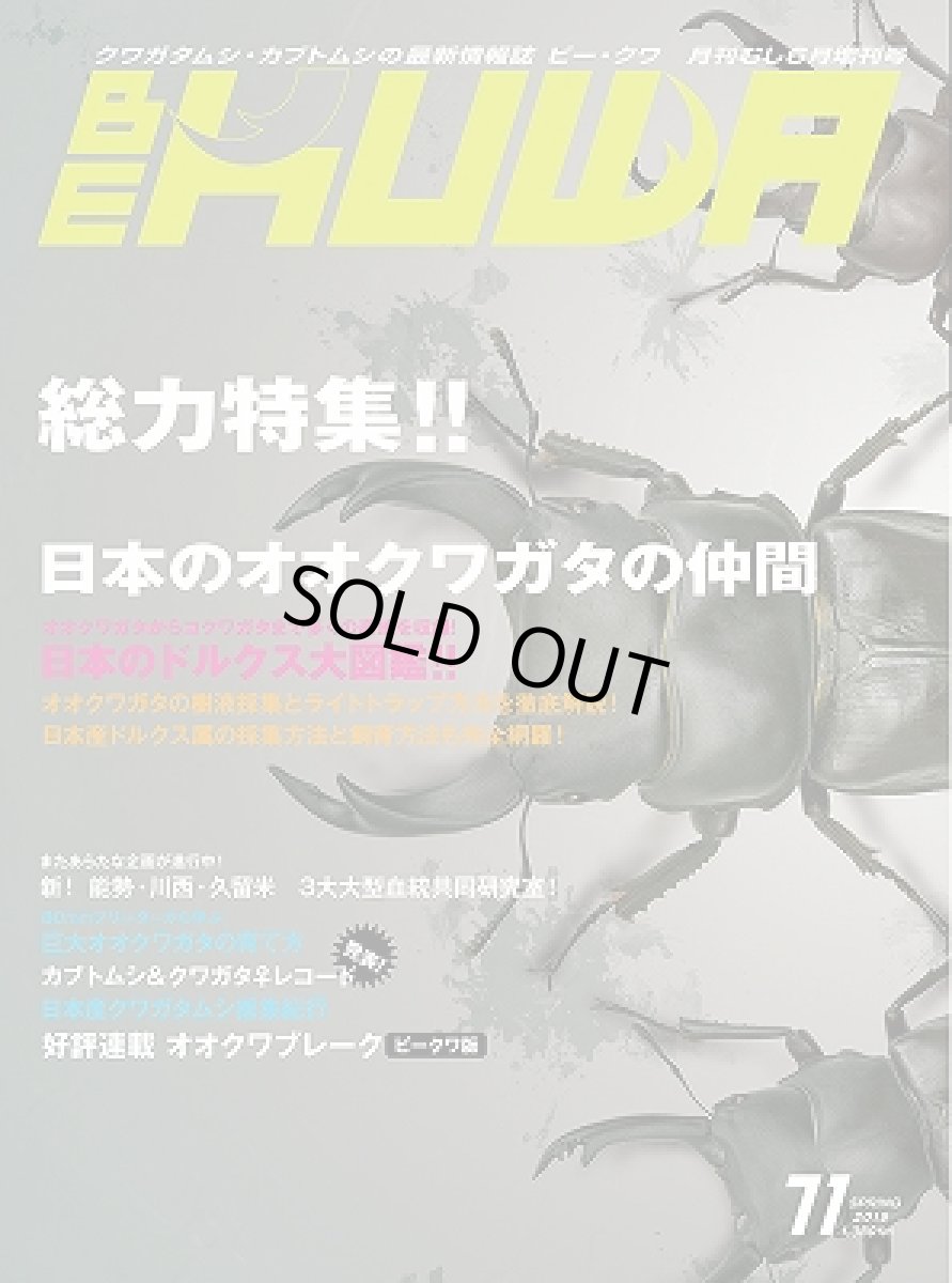 画像1: BE-KUWA　No.71 (1)