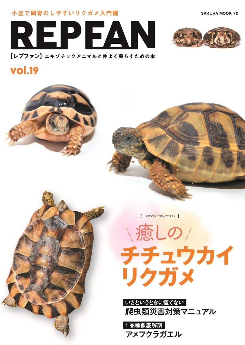 画像1: REPFAN　Vol.19 (1)