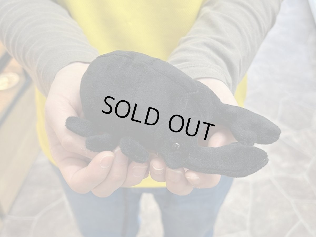 画像2: ぬいぐるみ(小)くわがた‼ (2)