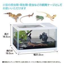 画像3: レプテリア ツインビュー 300ホワイト (3)