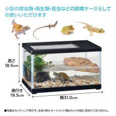 画像3: レプテリア ツインビュー 300ブラック (3)