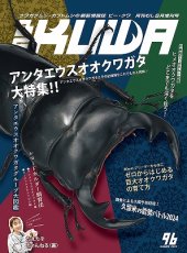 画像1: BE-KUWA　NO.96 (1)