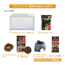 画像6: レオパ飼育キットS  TV (6)