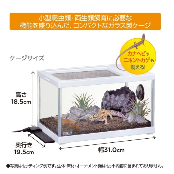 レオパ飼育キットS TV - ペットショップCOLORS