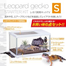 画像2: レオパ飼育キットS  TV (2)