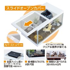 画像4: レオパ飼育キットS  TV (4)