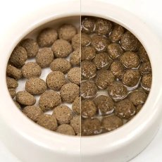 画像2: フトアゴドライ　200g (2)