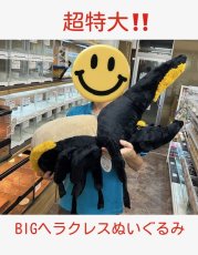画像2: 【超特大】BIGヘラクレスぬいぐるみ‼ (2)