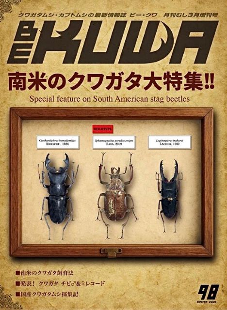 📖BE-KUWA・REPFAN等、書籍📖通販にて購入可能です🚚