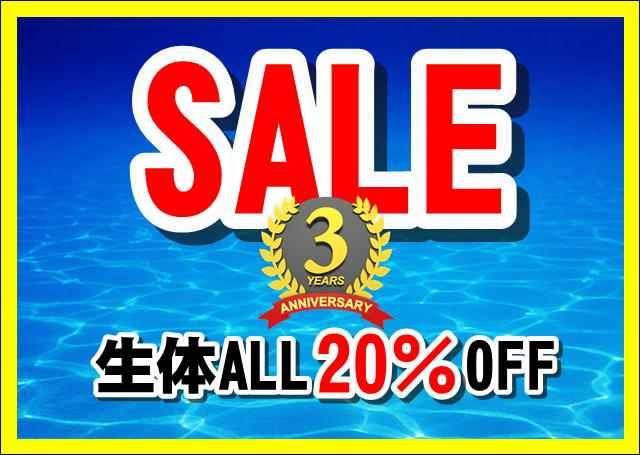 🎊3周年記念 『生体20％OFF!! SALE』のお知らせ🎊